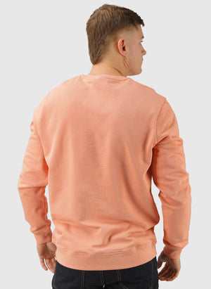 Crew Neck Sweatshirt - Terracotta Pot