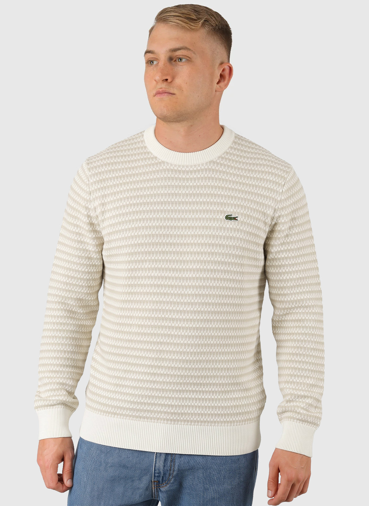 Crewneck Sweatshirt - Beige/Hellgrau/Weiß