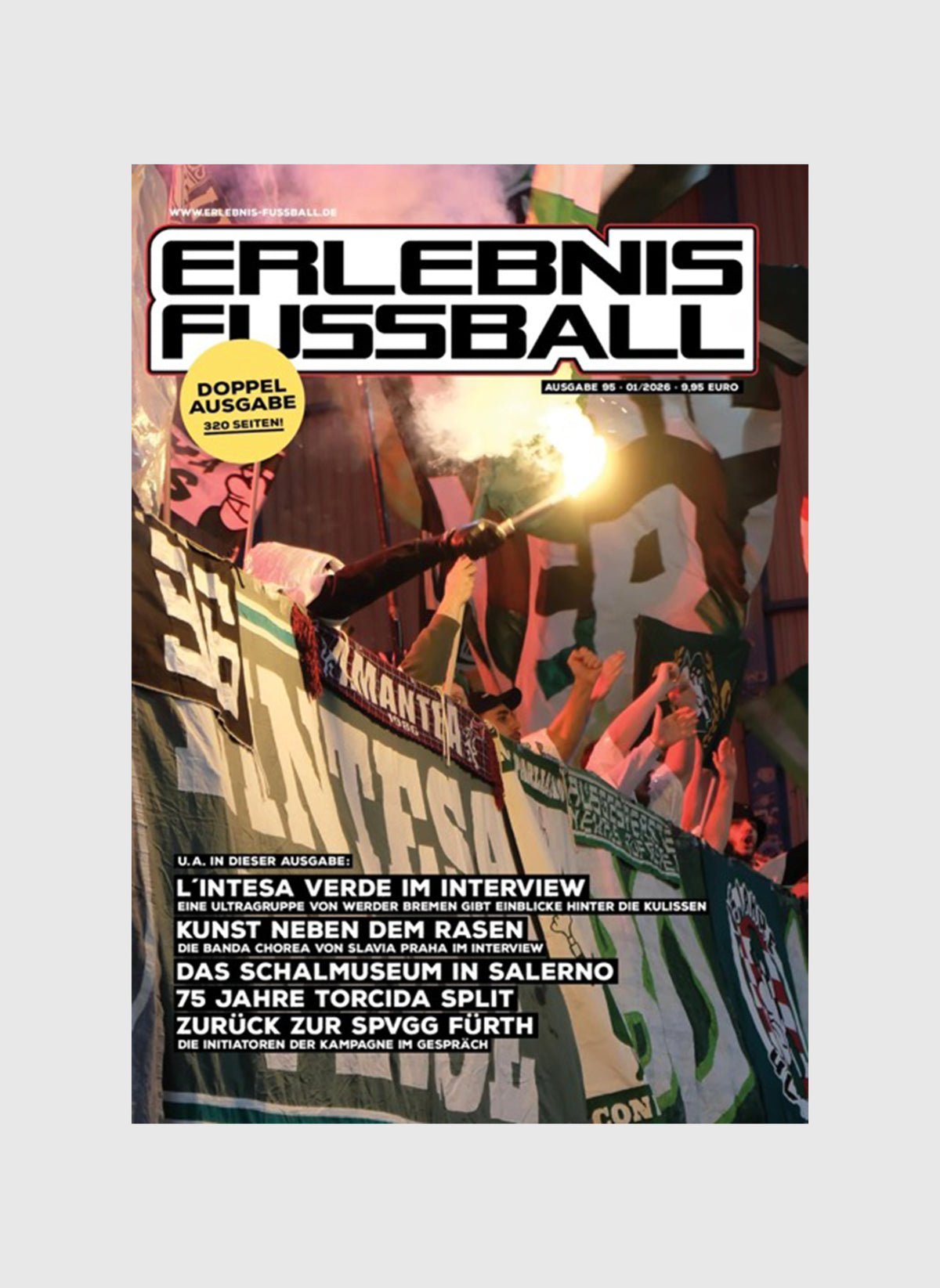 Erlebnis Fussball - Ausgabe 95/96