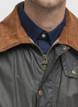 Light Weight Ashby - Archive Olive